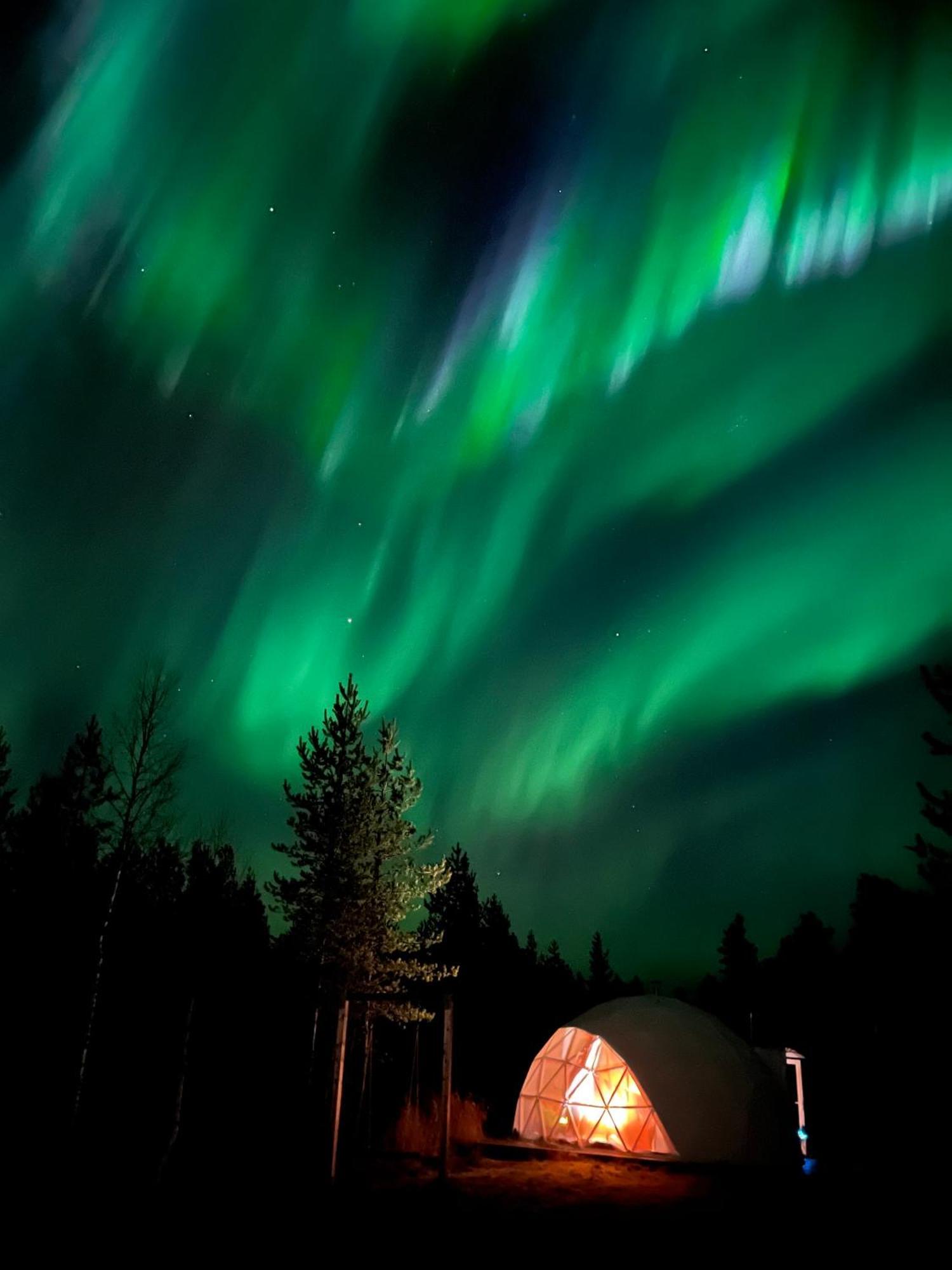 Aurora Igloo Fireplace-Heated Tents In A Secret Forest With Private Jacuzzi And Shared Sauna Bathroom And Dog Friendly Рованиеми Екстериор снимка